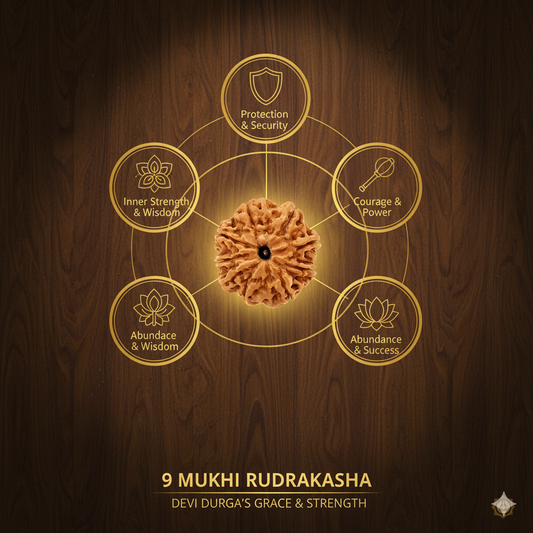 9 Mukhi Rudraksha Original Certified (Nepal)