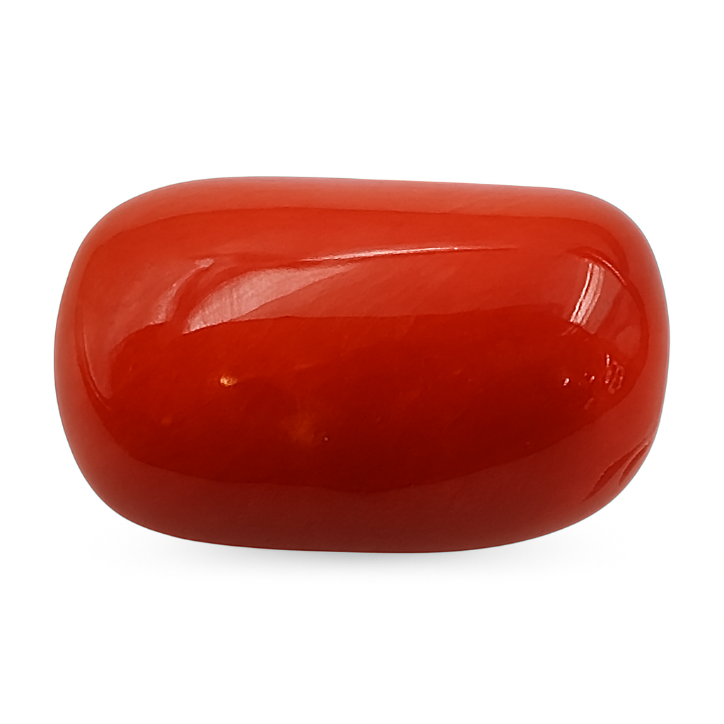 Coral (Medium) - Italian