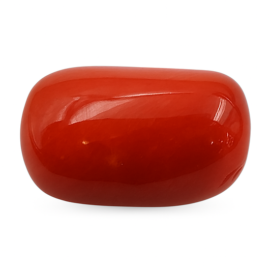 Coral (Medium) - Italian