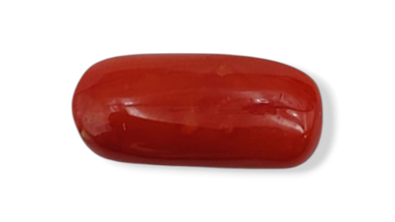 Coral (Medium) - Italian