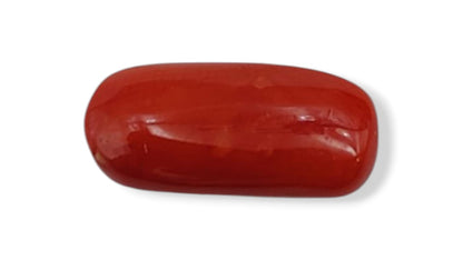 Coral (Medium) - Italian