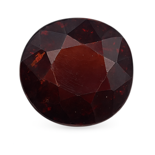 Gomedh (Medium) - Sri Lanka